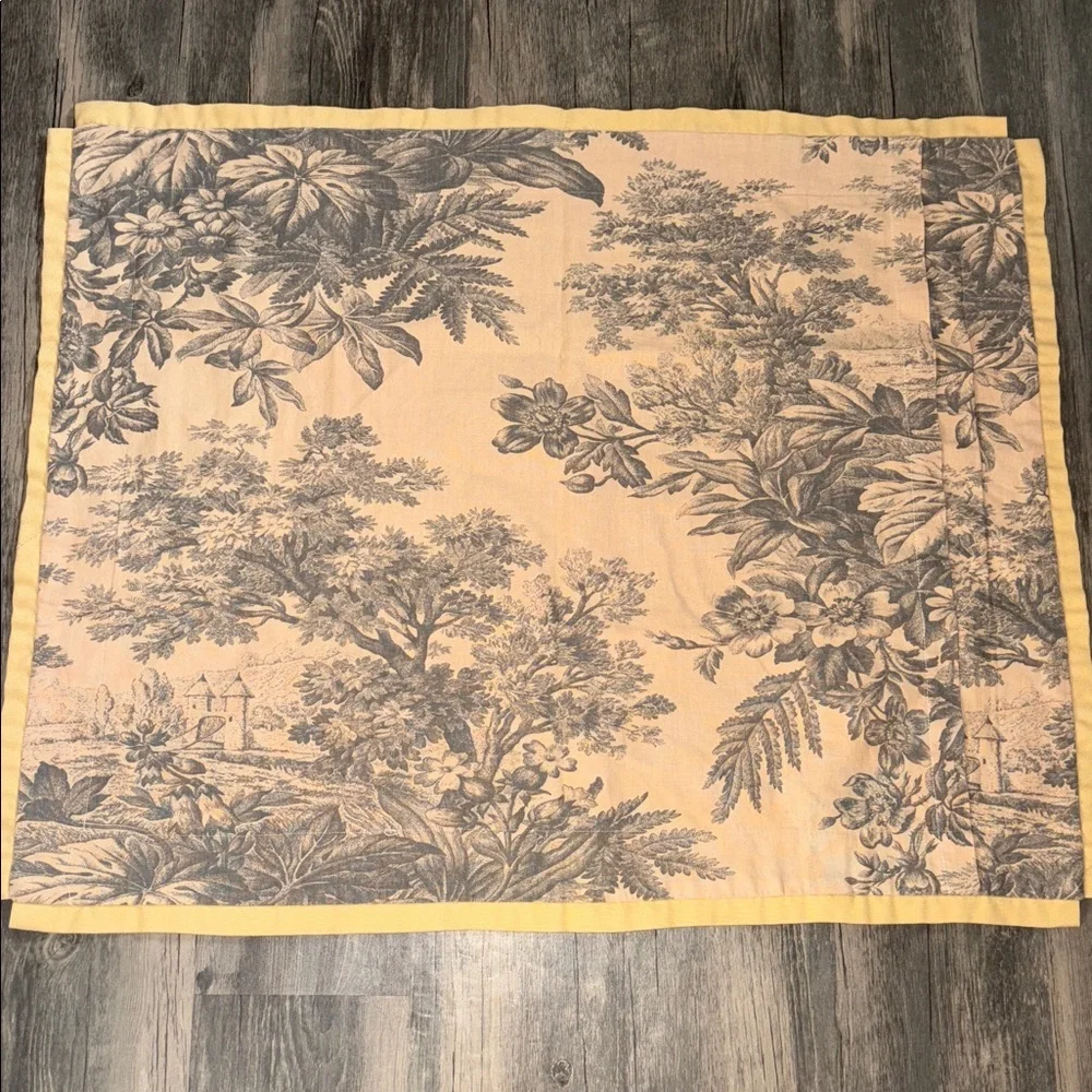 Pottery Barn Floral set of Two Euro Shams - Matine Toile pattern- discontinued
